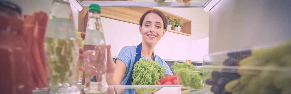 Same Day Fridge Repair Ottawa