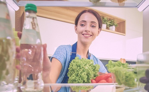 Same Day Fridge Repair Ottawa