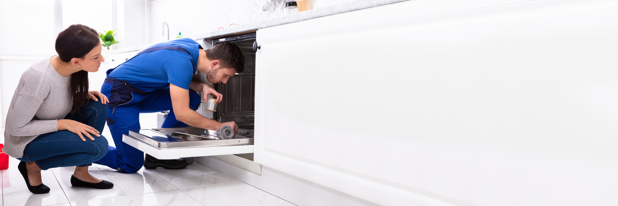 Dishwasher Repair Orleans