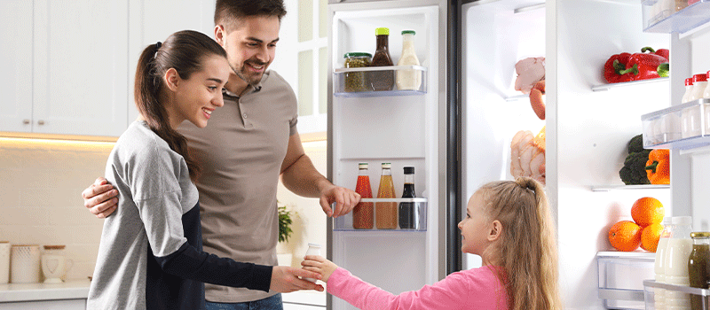 Fridge Won’t Chill but the Freezer Works Perfectly